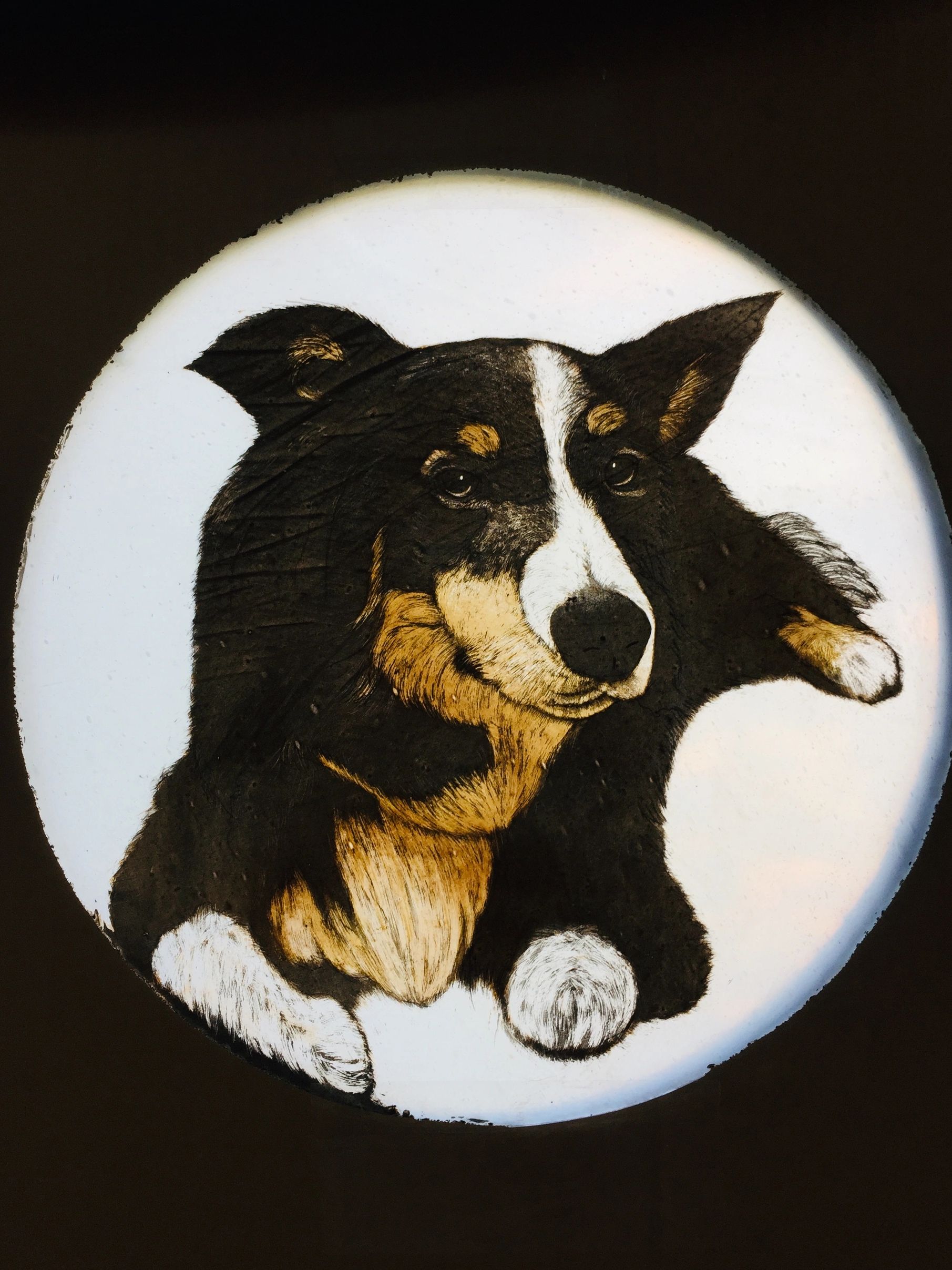 Painted stained glass portrait black dog, with golden chest and white forehead