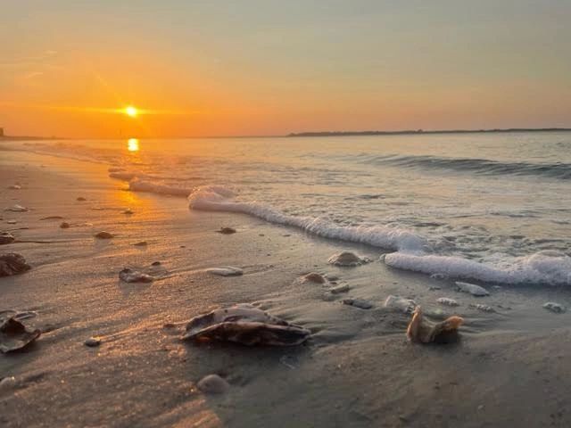 florida waves on shore during sunset on beach