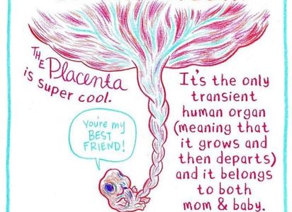 placenta pill s, placenta encapsulation near me,  placenta capsules , doula near me, Modesto Turlock