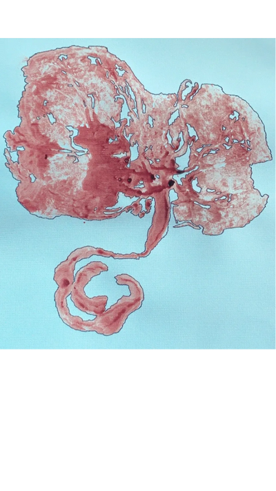 placenta encapsulation near me
placenta capsules near me
placenta pills company
placenta services