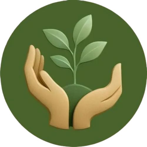 Two hands holding a plant