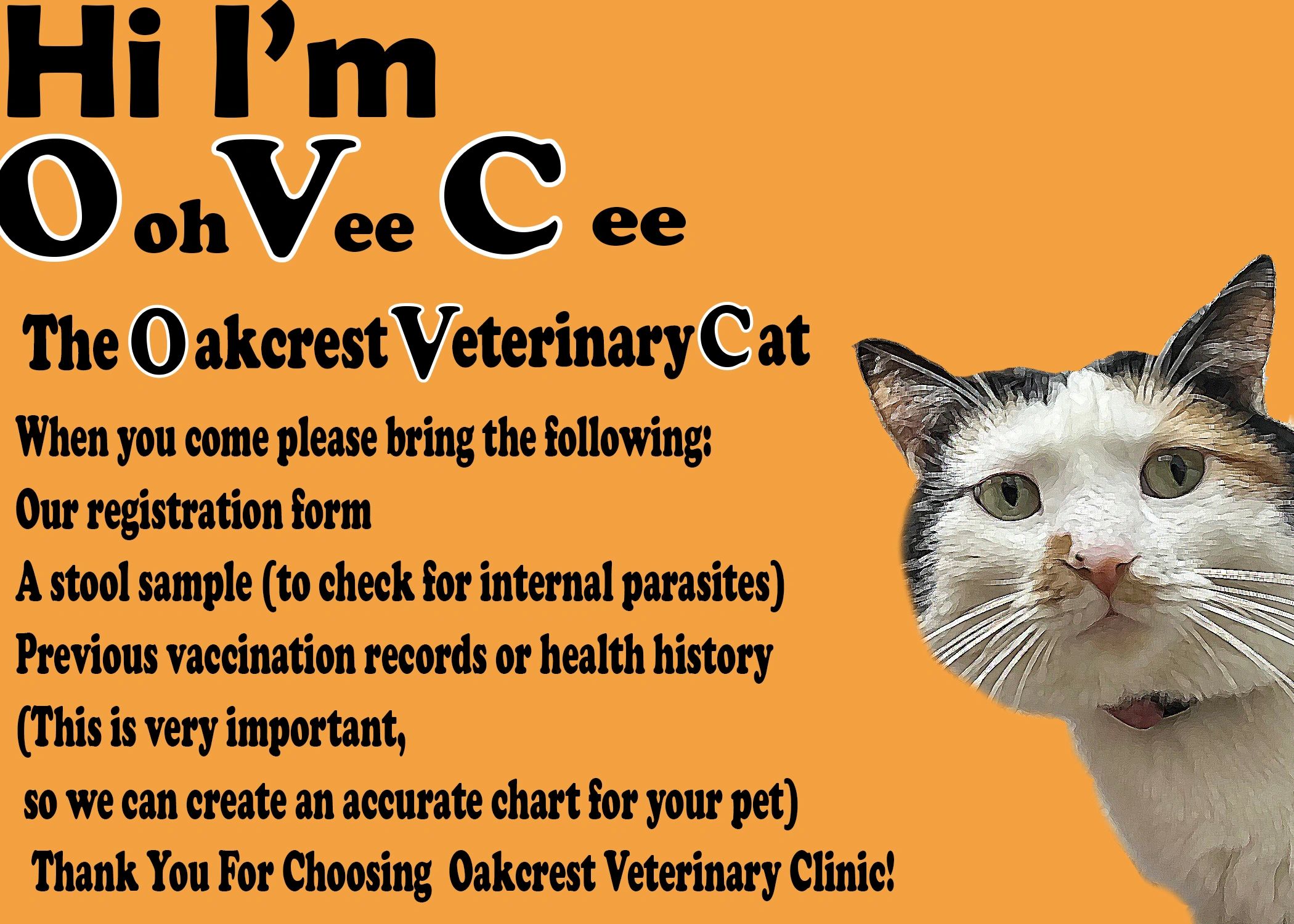 //img1.wsimg.com/isteam/ip/f8352516-3832-4b01-9718-2ed9d9117717/ovc%20greeting%20final%20GREET%20INS%202.jpg/:/cr=t:0%25,l:0%25,w:100%25,h:100%25/rs=w:1300,h:800