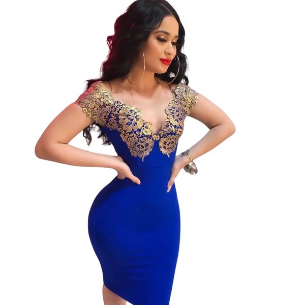 Contrast Lace Insert Bodycon Dress Short Sleeve Summer Dress