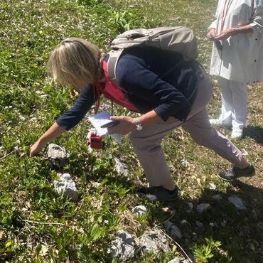 botanical guide pointing out alpine wild flowers