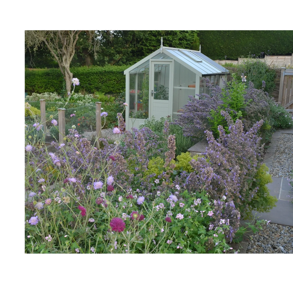 cottage garden with greenhouse