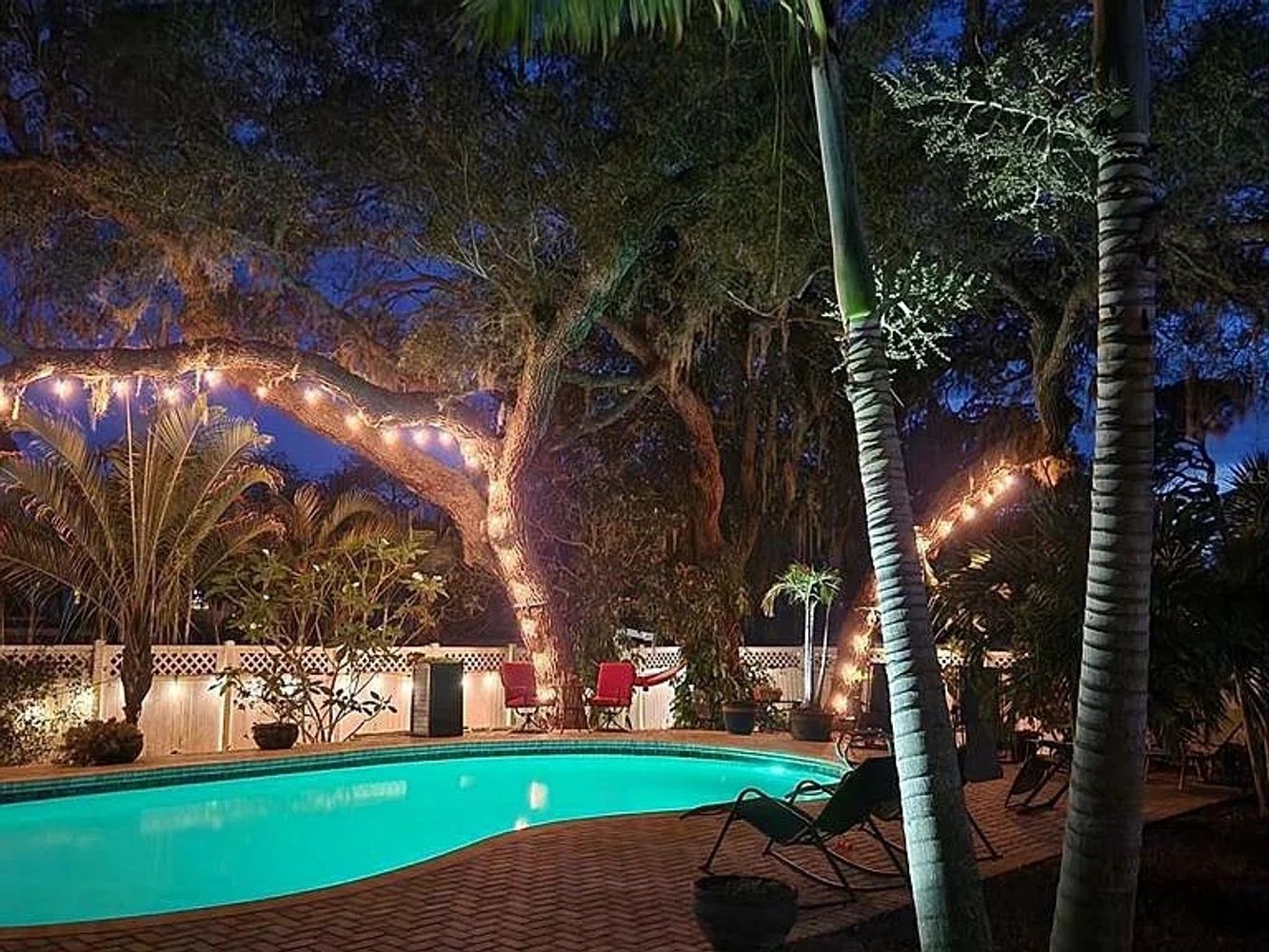 Cozy backyard pool illuminated by string lights and surrounded by palm trees at night.