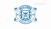 Bulldog Essential Fitness LLC
