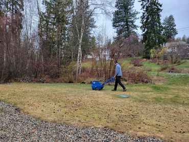 Expert lawn aeration service increasing soil drainage and reducing thatch buildup.