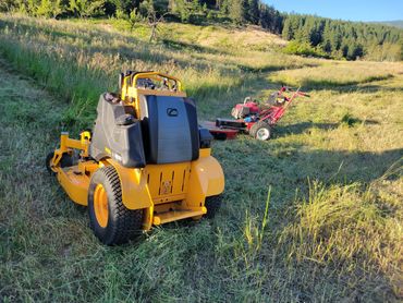 Fall clean-up service raking and removing fallen leaves from a lawn, ensuring the yard stays clear.