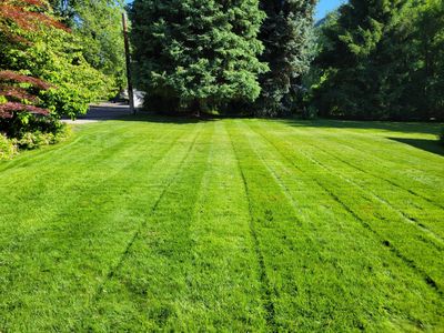 Hardy Helps Property Maintenance Monthly Home  Services Payment Plan