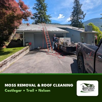 Hardy Helps completing a roof wash and moss removal service in Nelson