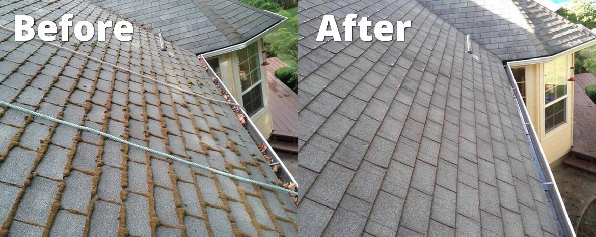 Roof cleaning service to remove moss, algae, and mildew.