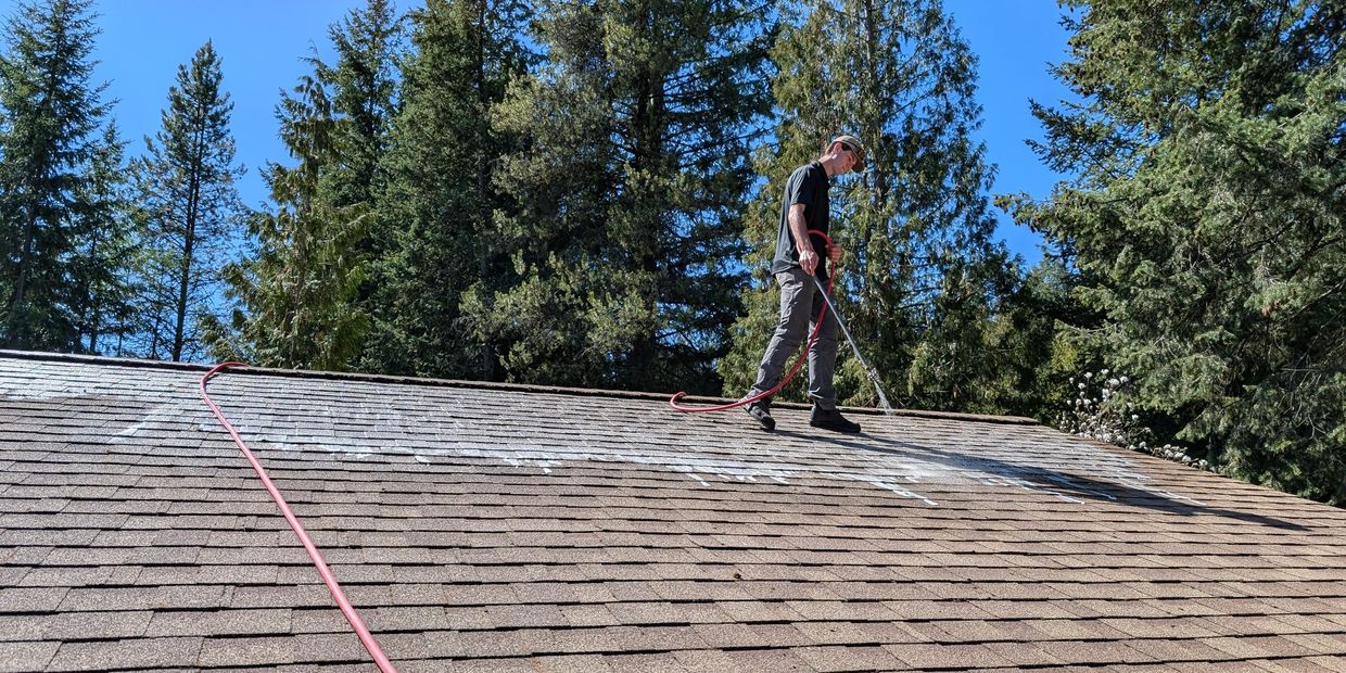 Hardy Helps applying a roof wash to kill moss spores after the bulky moss has been removed by light