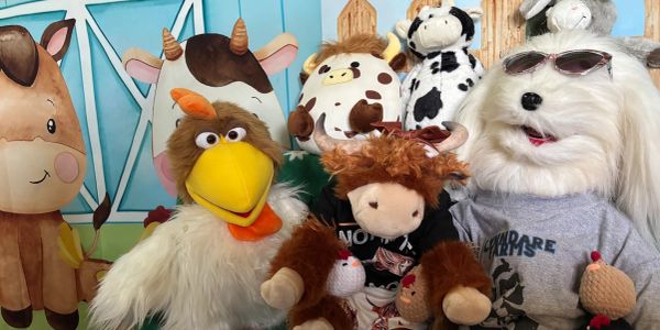 A group of colorful animal plush toys arranged together in a playful setting.