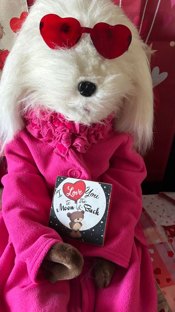 Fluffy dog doll in pink coat and heart-shaped glasses holding a love card.