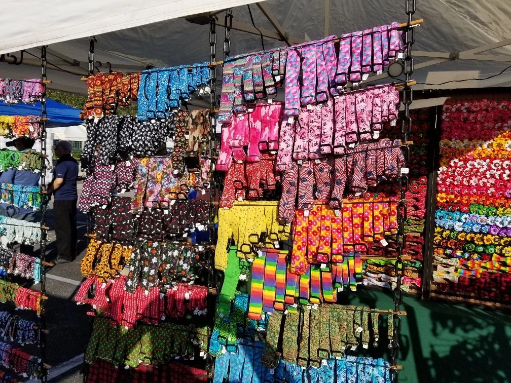 Collars in sizes from Tiny to Extra Large