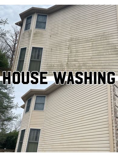 Before and after house washing