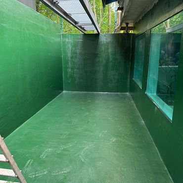 A small green-painted room with windows and a ladder.