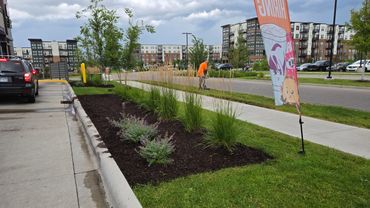 A man in an orange shirt works near a landscaped sidewalk in a suburban area.