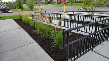 A concrete ramp with black railings and ornamental grasses beside it.