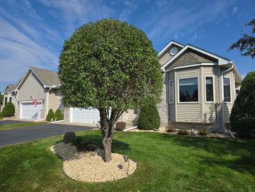 A neatly trimmed tree in front of a suburban house with a stone-lined garden bed.