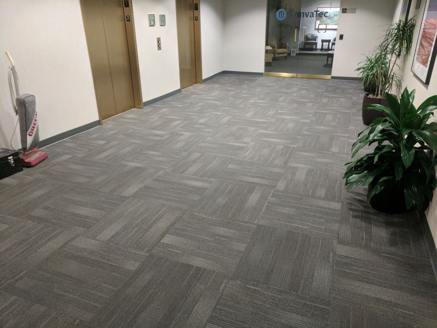 Flooring and Carpet The Floor Depot