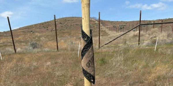 Wooden pole with black metal spiral decoration outdoors.