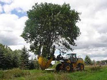 1) Electricity - Solar Energy 2) 3D Holographic Projection using Pyramid 3) Tree Replanting Machine