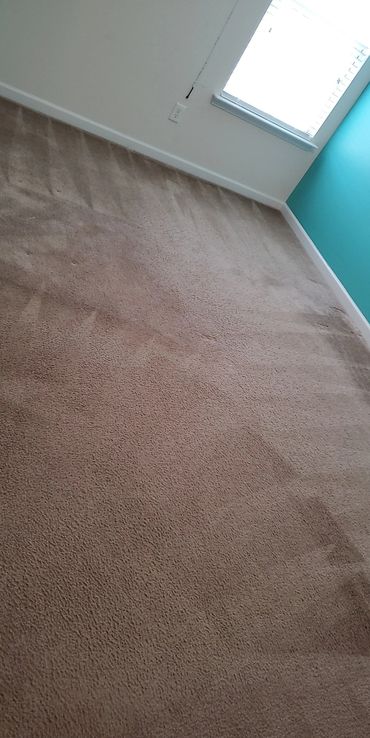 Empty room with beige carpet and teal accent wall near window.