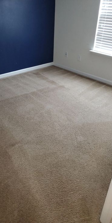 Empty room with beige carpet, blue and white walls, and a window with blinds.