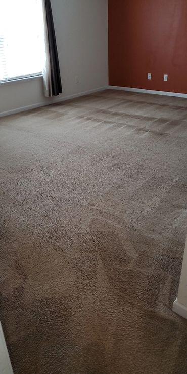 Empty carpeted room with a brown accent wall and window with curtains.