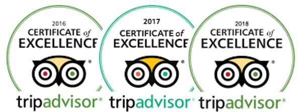 Certificate of Excellence Pevensey Motor Lodge Echuca