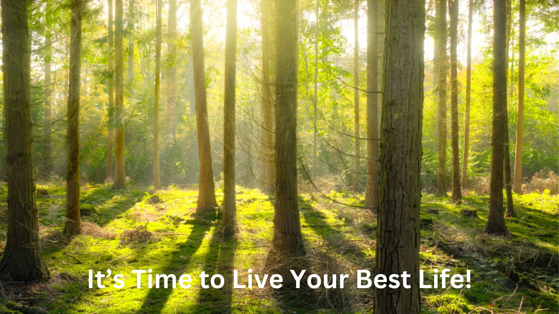 Healing anxiety and trauma through Somatic Experiencing and Timeline Therapy