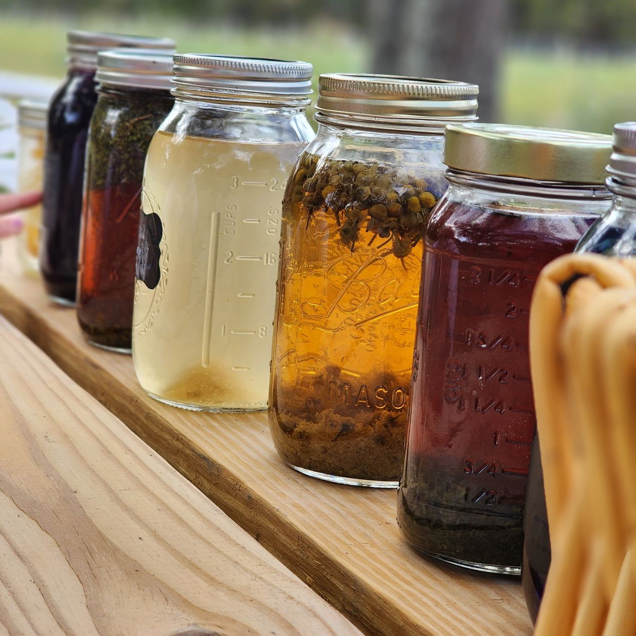 Herbal healing tea organic artisanal teas that are just yummy