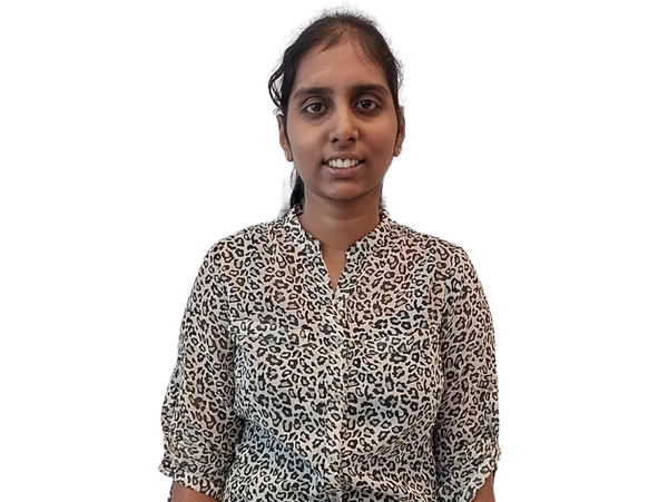 Accountant for daily or monthly services
