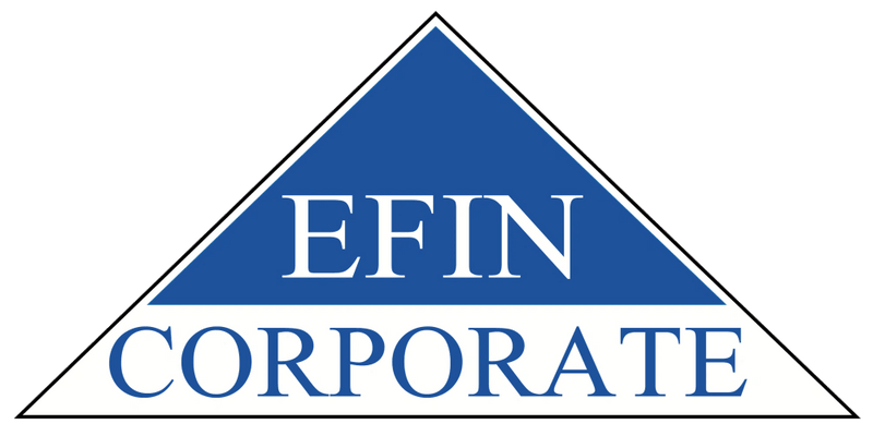 Efin Corporate Consulting Private Limited