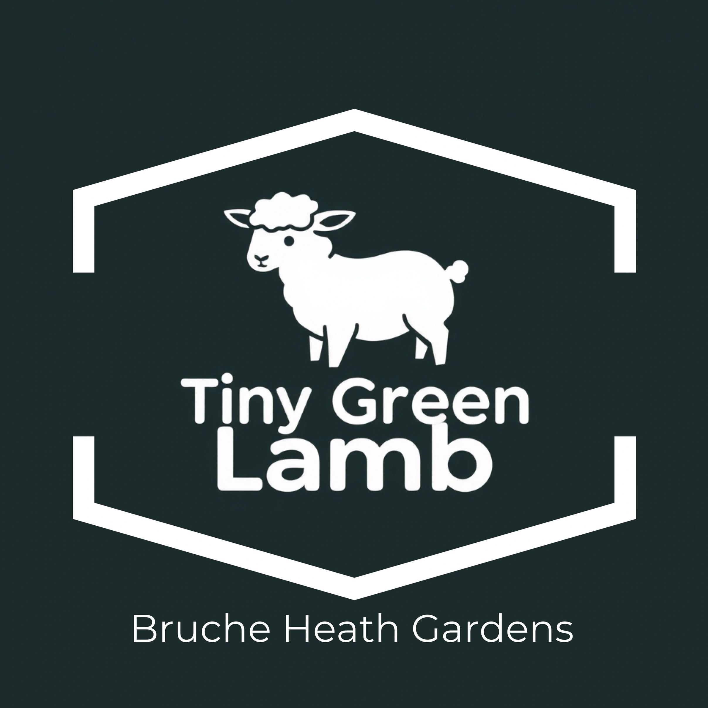 Tiny Green Lamb, we are in the early stages of planning and developing the site, bigger and better C