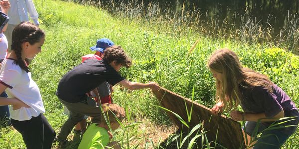 Laudato Si, Living Laudato Si, ecology, nature catholic, hands-on