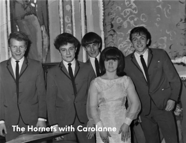 The Hornets with Carolanne