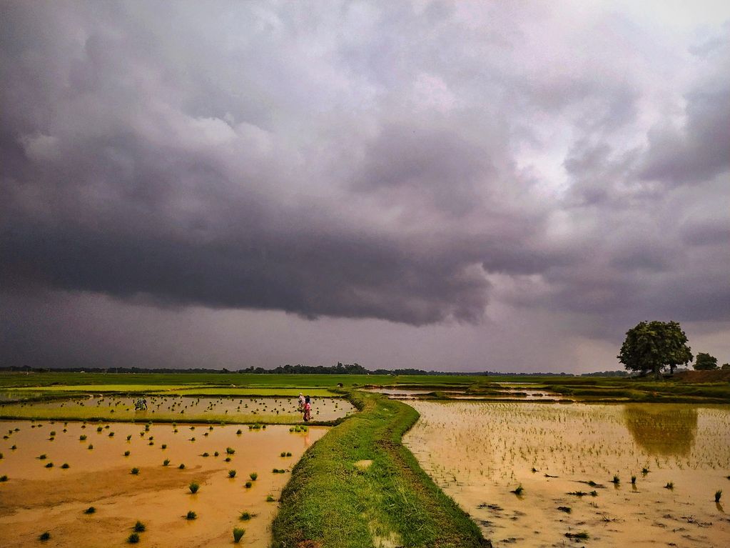 MONSOONAL LANDSCAPE
