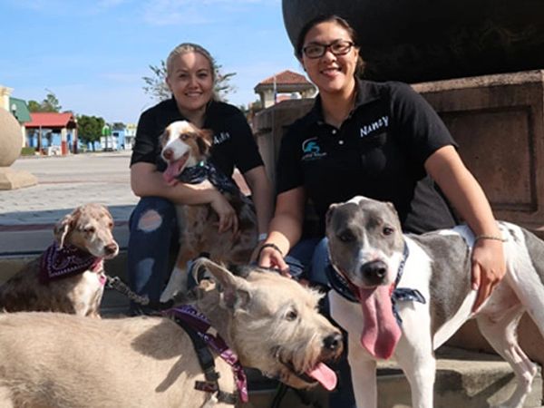 Two women happily posing with five dogs outdoors on a sunny day.