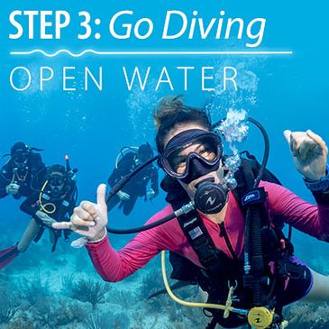 Learn to dive step 3