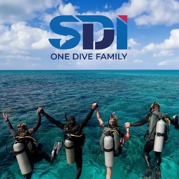 SDI One Dive group jumping