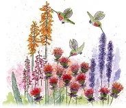Patio Garden Club of Tucson
Logo by PGC Member,
Tracy Foltz of Zinnia Sky Studio