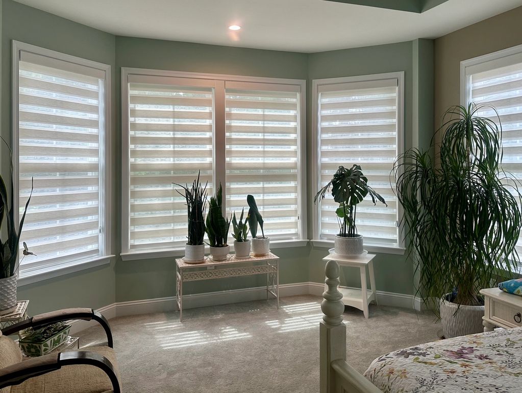 Zebra shades in master bedroom.