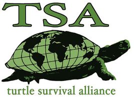 Turtle Survival Alliance logo