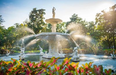 Nestled in the heart of Forsyth Park, in Savannah's Historic District is a grand white fountain.