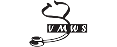 VMWS logo 