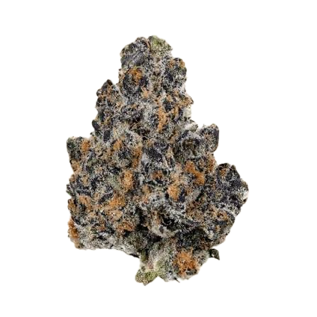 Close-up of a cannabis bud with orange hairs and frosty trichomes.
