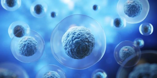 Close-up of multiple blue cells under a microscope.